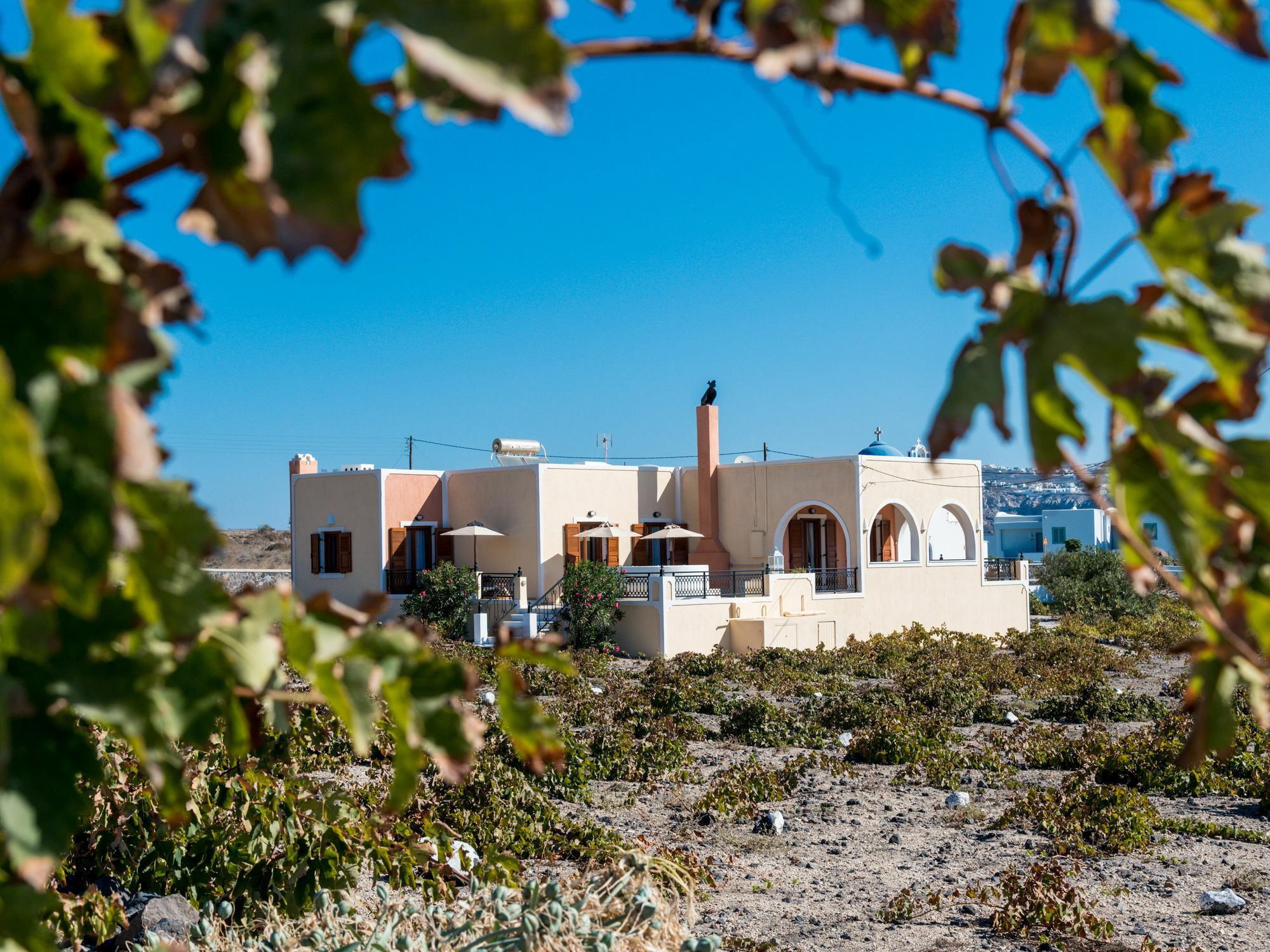 Vineyard Exclusive Suites Akrotírion المظهر الخارجي الصورة